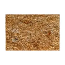Morisca Gold 60 x 40 cm